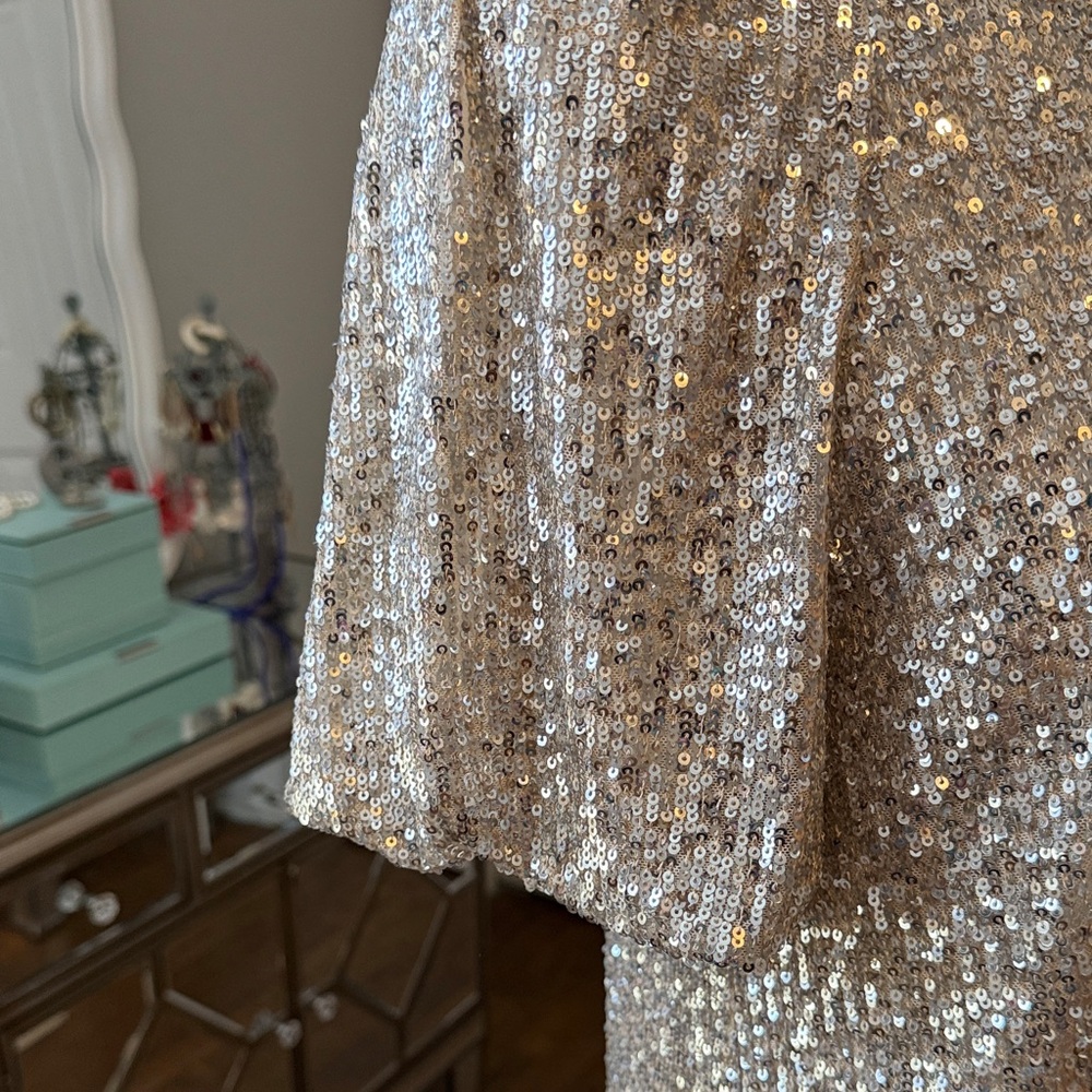 Cable & Gauge ❤️ Silver Sequin Statement Top - Sz M NWT - Picture 3 of 11